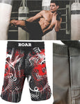 Metallic Skull Two Stripes Mens MMA Training No GI shorts